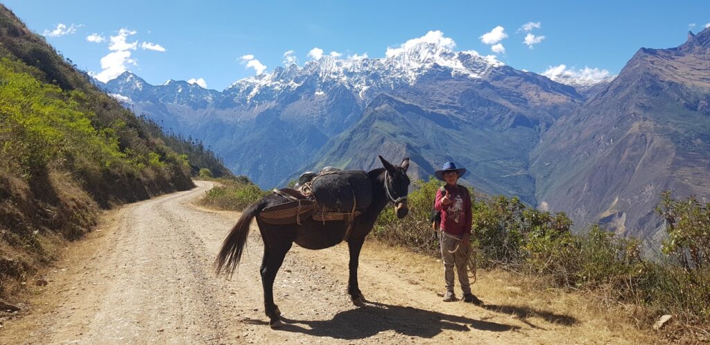Trekking do Choquequirao w Peru